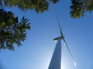 windturbines in het bos