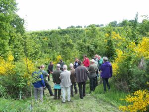 Forêt sociale