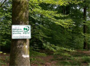 Boom met PEFC-teken. Dit bos wordt duurzaam beheerd