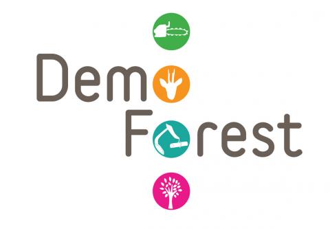 Venez tester vos connaissances forestières aux Démo Forest et remportez de beaux cadeaux !