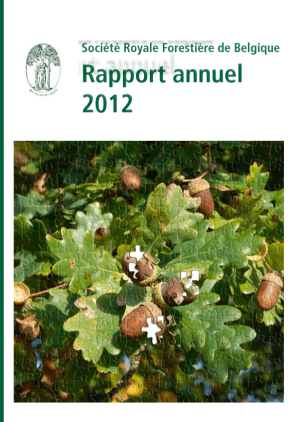 Rapport d'activité 2012