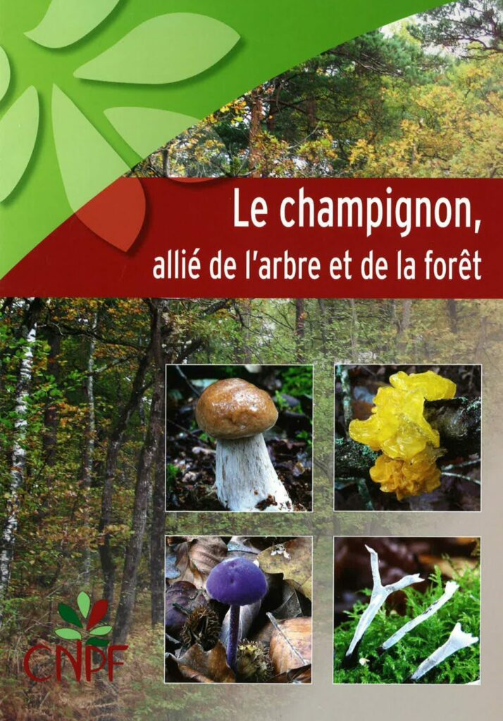 Mushrooms, allies of trees and forests