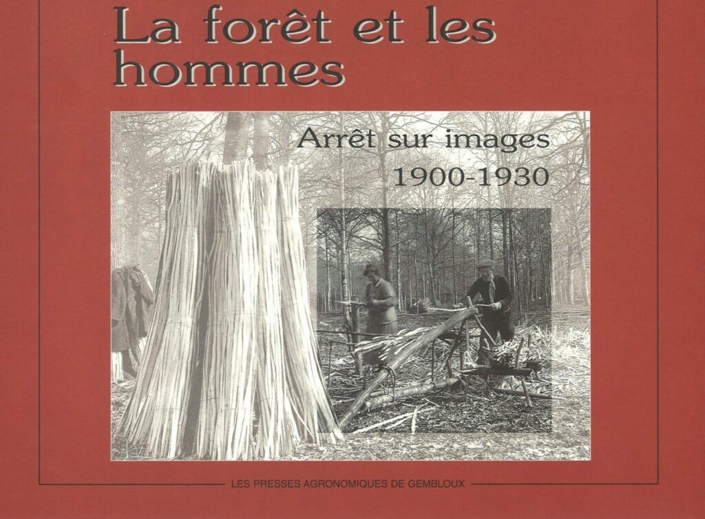 The forest and the people