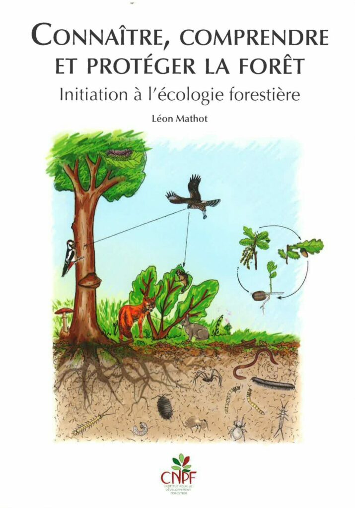 Knowing, understanding and protecting the forest