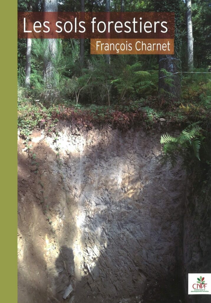 Forest soils