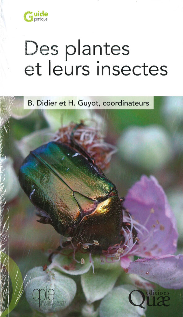 Planten en hun insecten