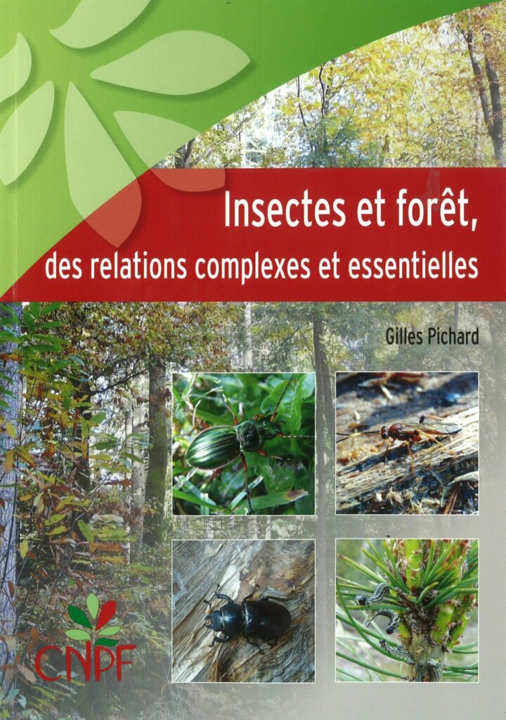 Insects and forests
