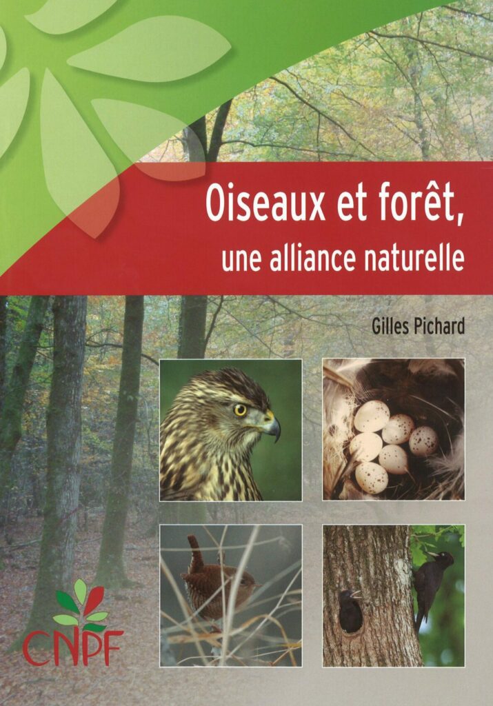 Oiseaux et forêt, une alliance naturelle