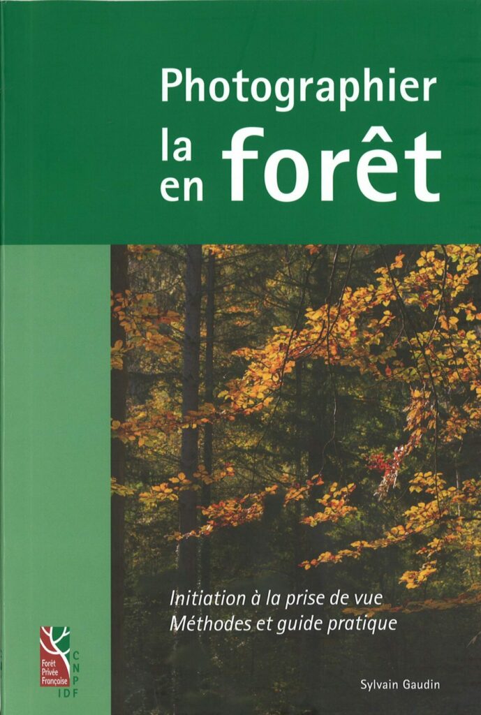 Photographier la forêt en forêt