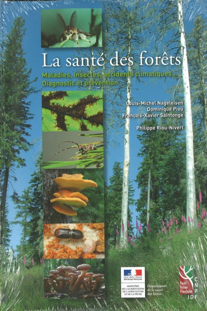 Forest health