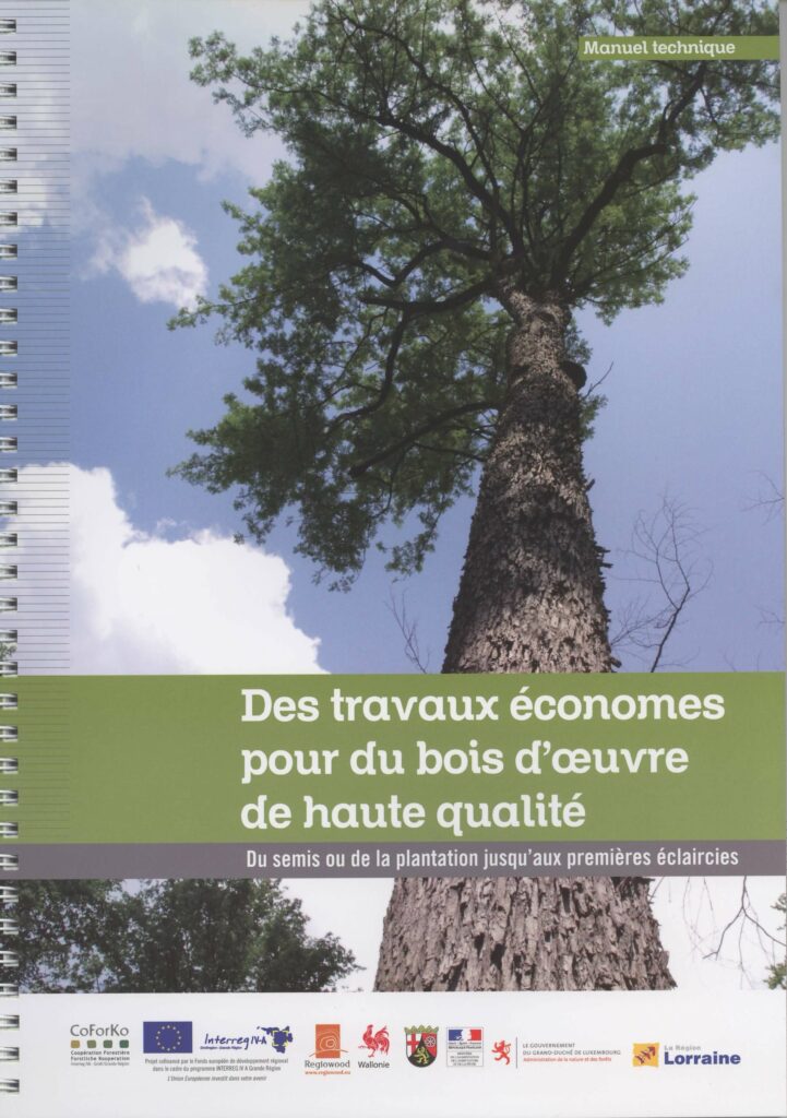Des travaux économes pour du bois d’œuvre de haute qualité