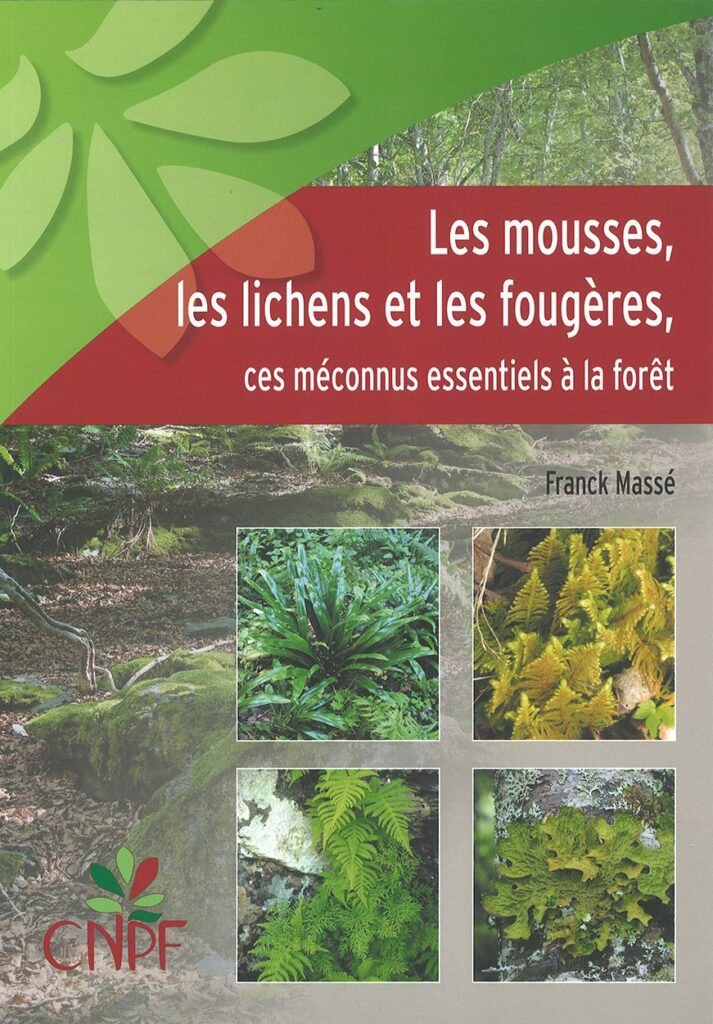 Mosses, lichens and ferns, the little-known essentials of the forest