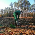 image page plantation 3