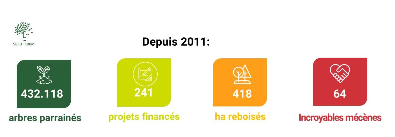 Site_Internet_Plantation responsable en forêt