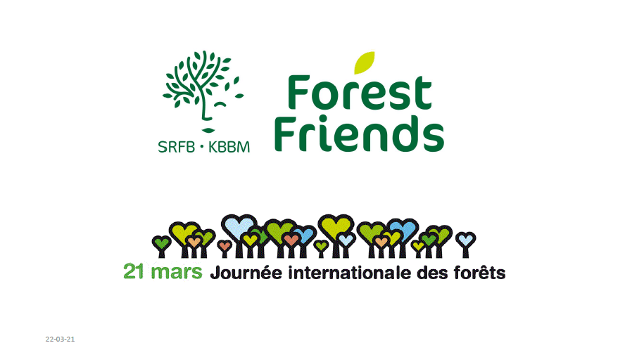 SRFB viert Internationale Dag van het Bos