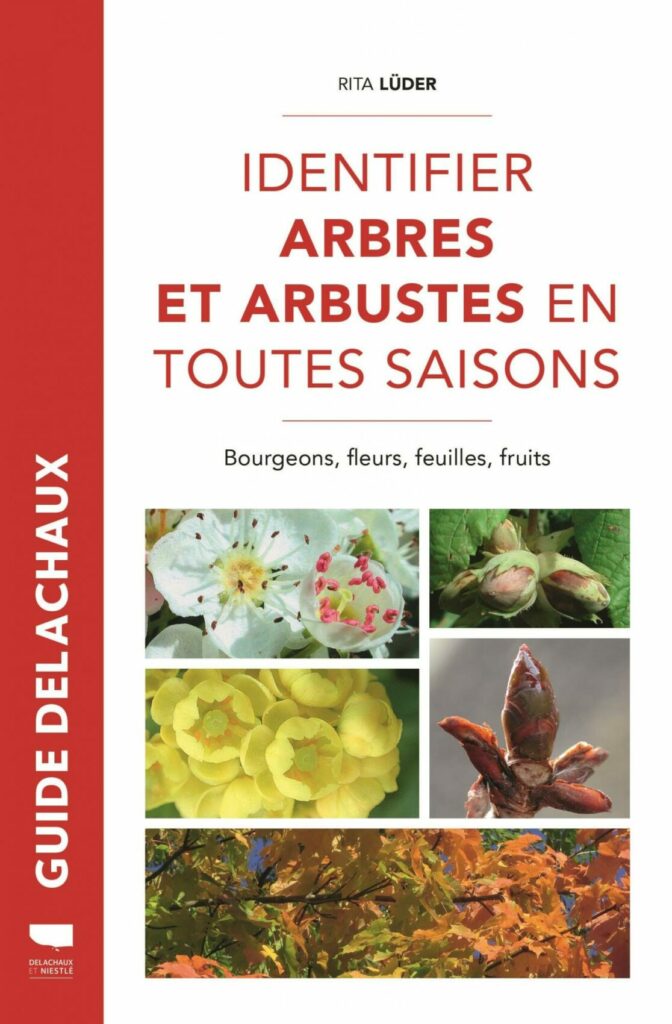 Identifying trees and shrubs in all seasons