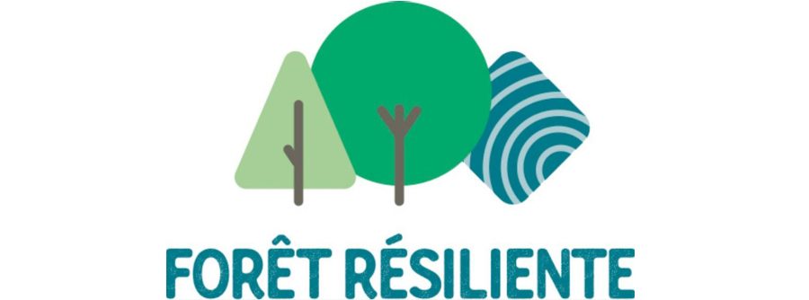 Forêt résiliente 2023 : un franc succès