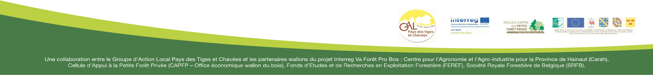 bas-reboisement pied - Nous préparons la forêt de demain