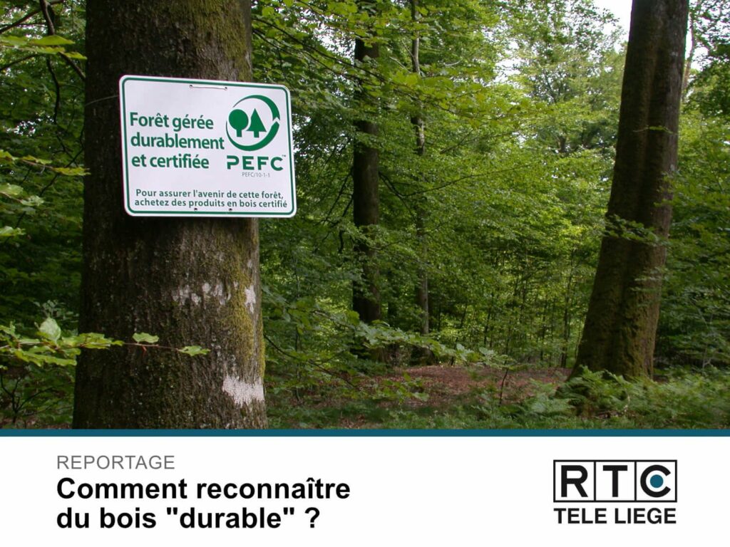 Comment reconnaître du bois "durable" ? Reportage RTC.