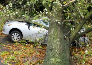 Auto mit Baum verunglückt - Haftpflicht Wald