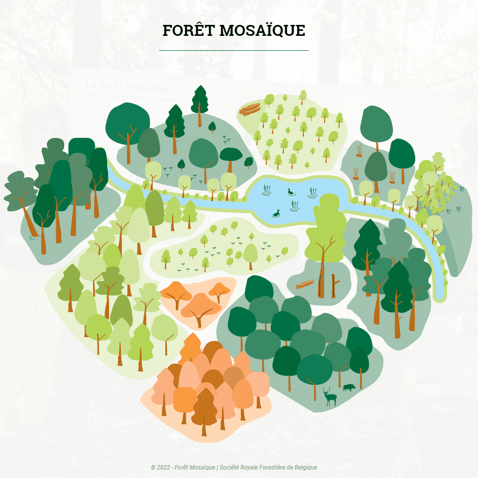 Forêt mosaïque illustration