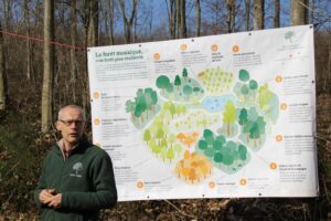 Philippe De Wouters legt het mozaïekbos uit