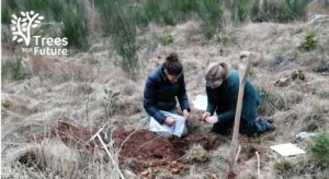 Trees for Future - Vloeren