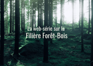 Webdocumentaireserie over de houtindustrie