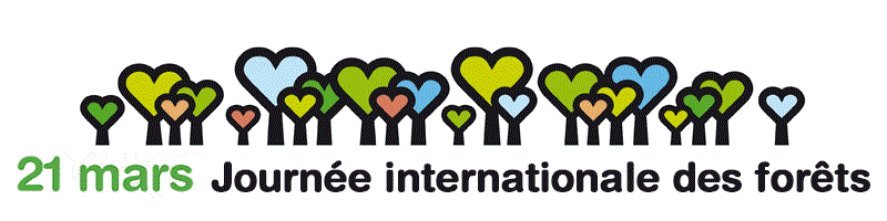 Journée Internationnale des forêts
