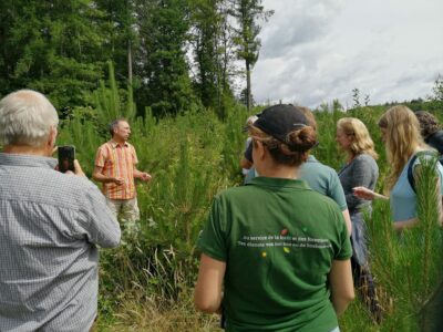 Trees for Future à Hamoir