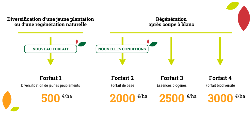 Nouveau tarif - forêt résiliente 2023
