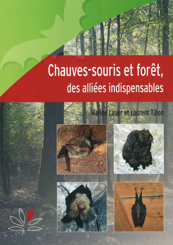 Vleermuizen en bossen