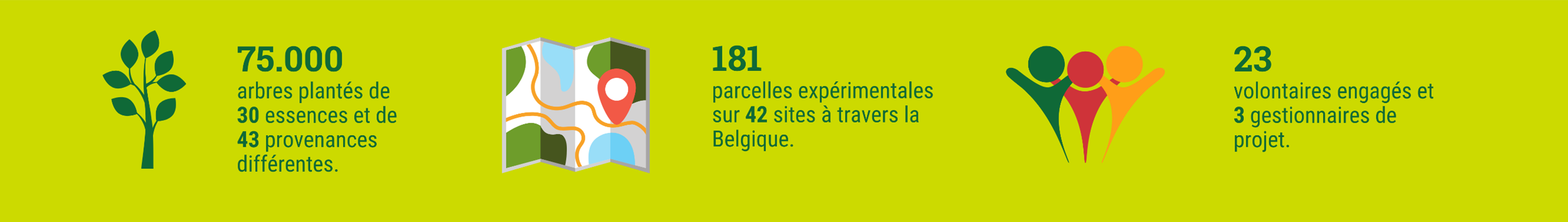Bannière TFF
