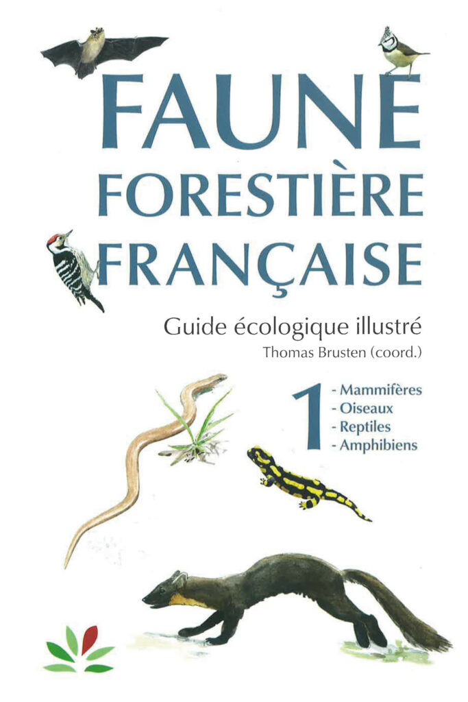 Forest wildlife