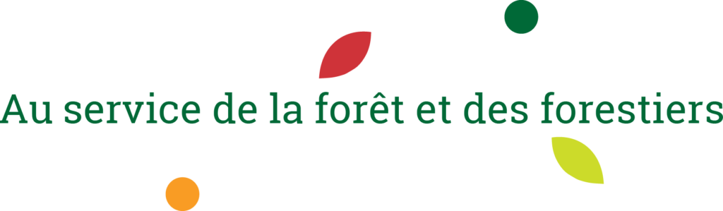 Serving forests and foresters