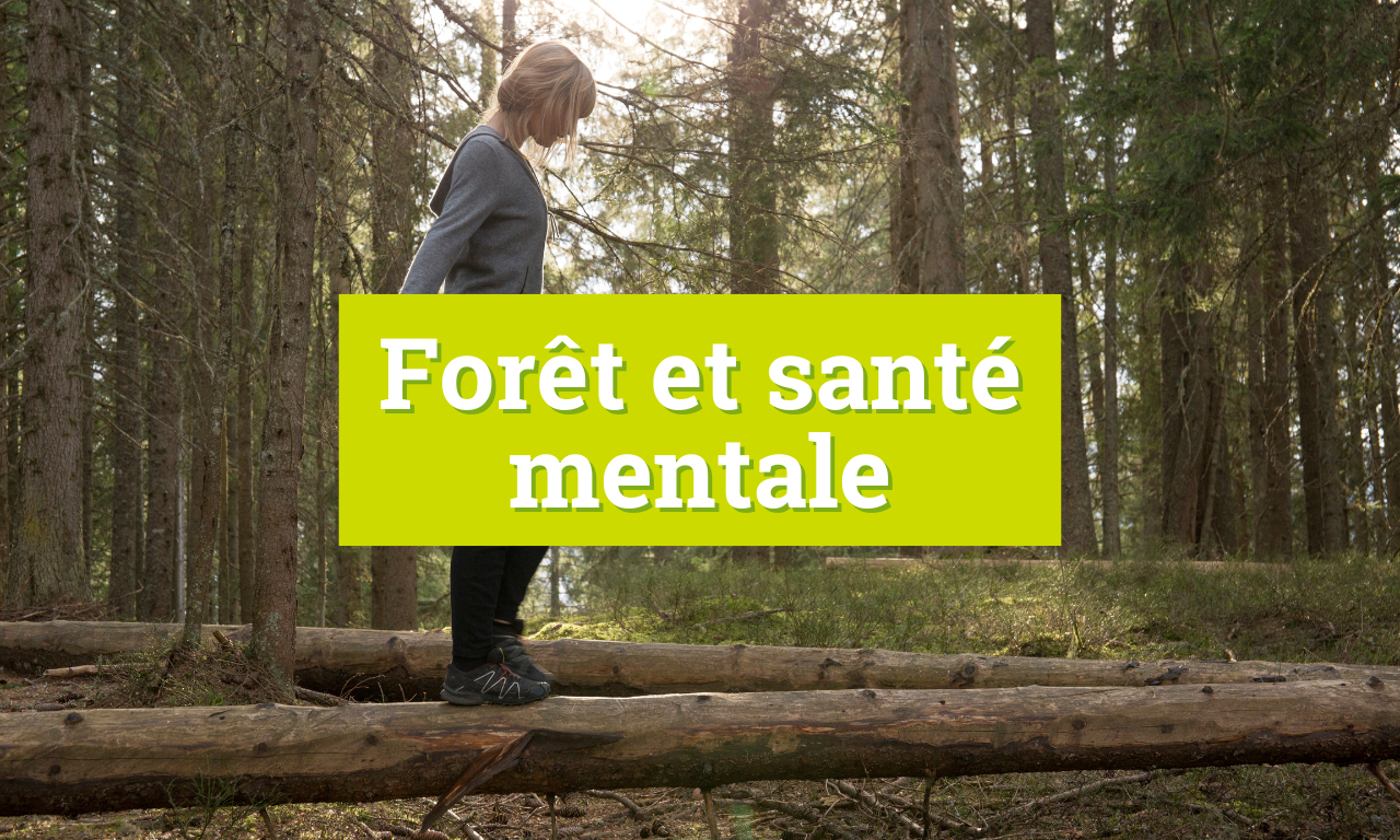 Forêt et santé mentale