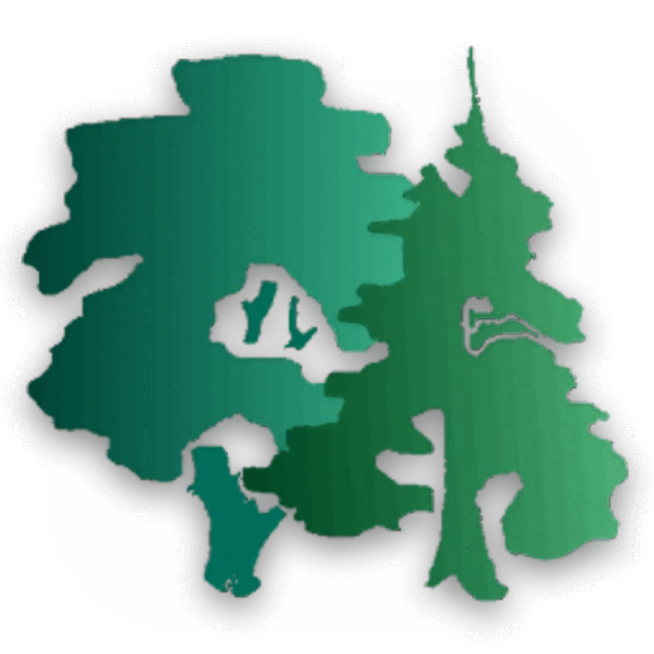 Forestimator Mobile ? Votre Nouvel Outil Cartographique en Forêt