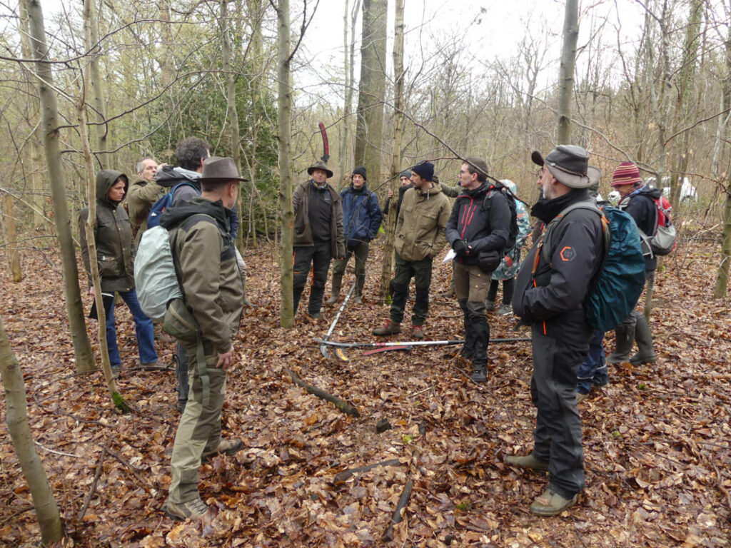 Groupe formation