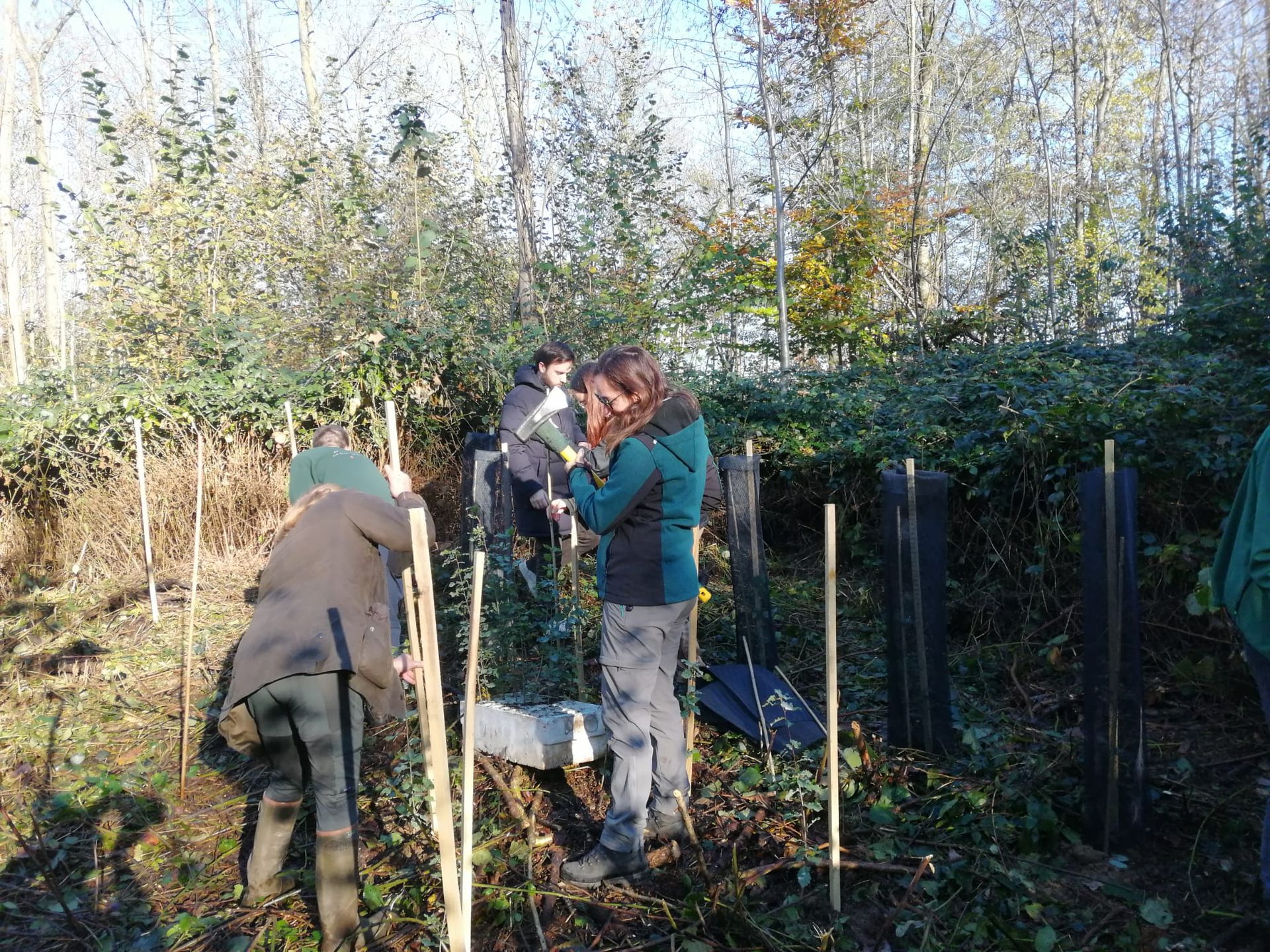 Première plantation MigFoRest