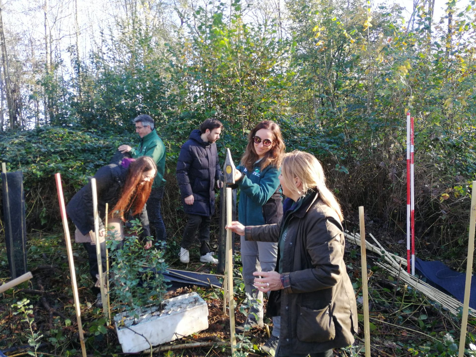 Eerste MigFoRest-plantage