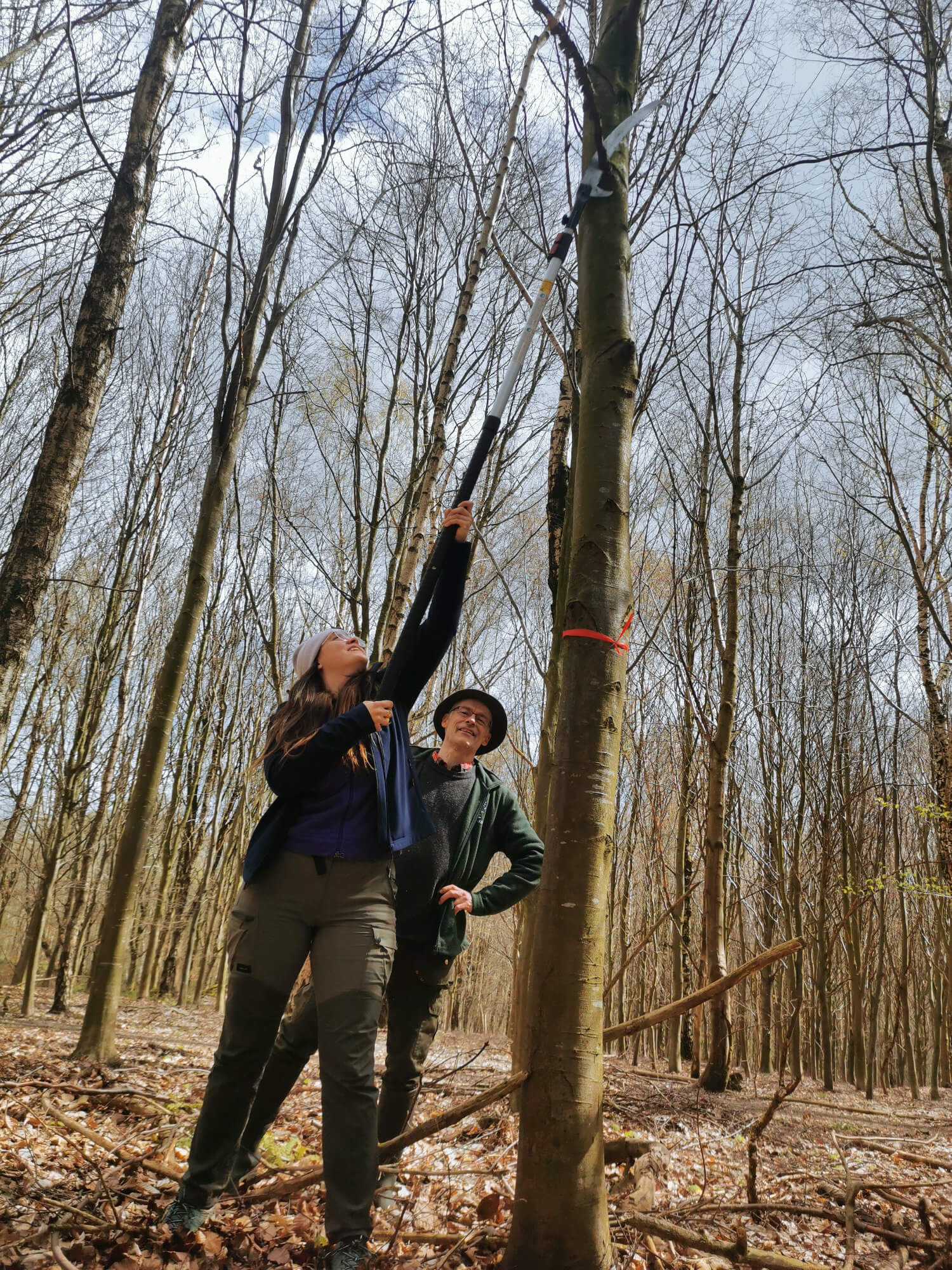 Taille de formation, élagage et désignation d’arbres objectifs