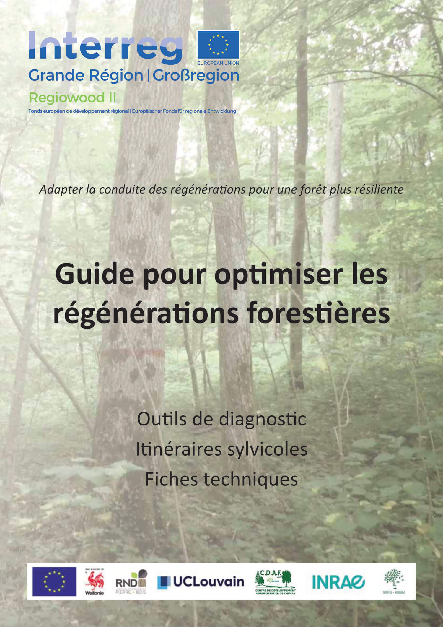 Guide pour optimiser les régénérations forestières