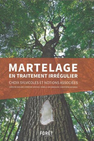 martelage