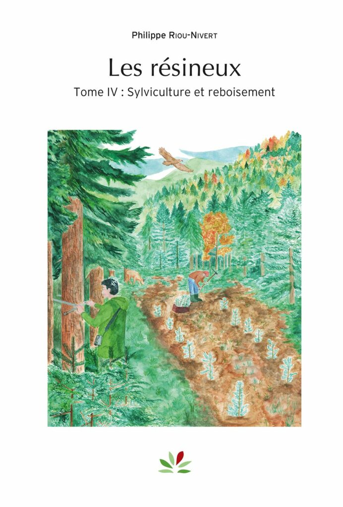 Softwoods Volume 4