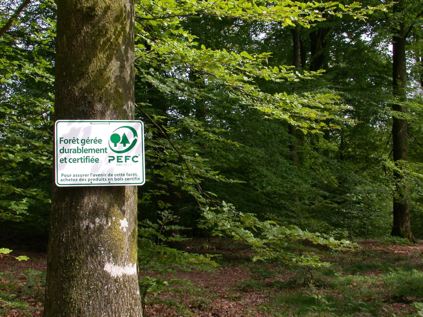 Aide à la réalisation de votre DSG PEFC via Ma Propriété Forestière