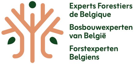 Logo - Expert Forestier de Belgique (EFB)