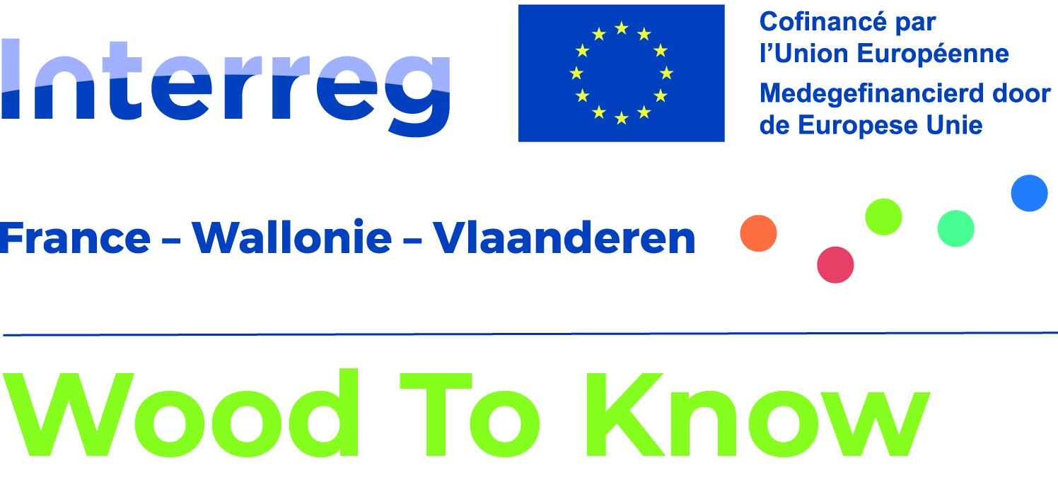 Logo Interreg VI