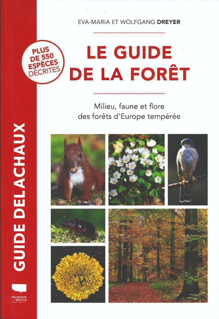 Cover: The Forest Guide
