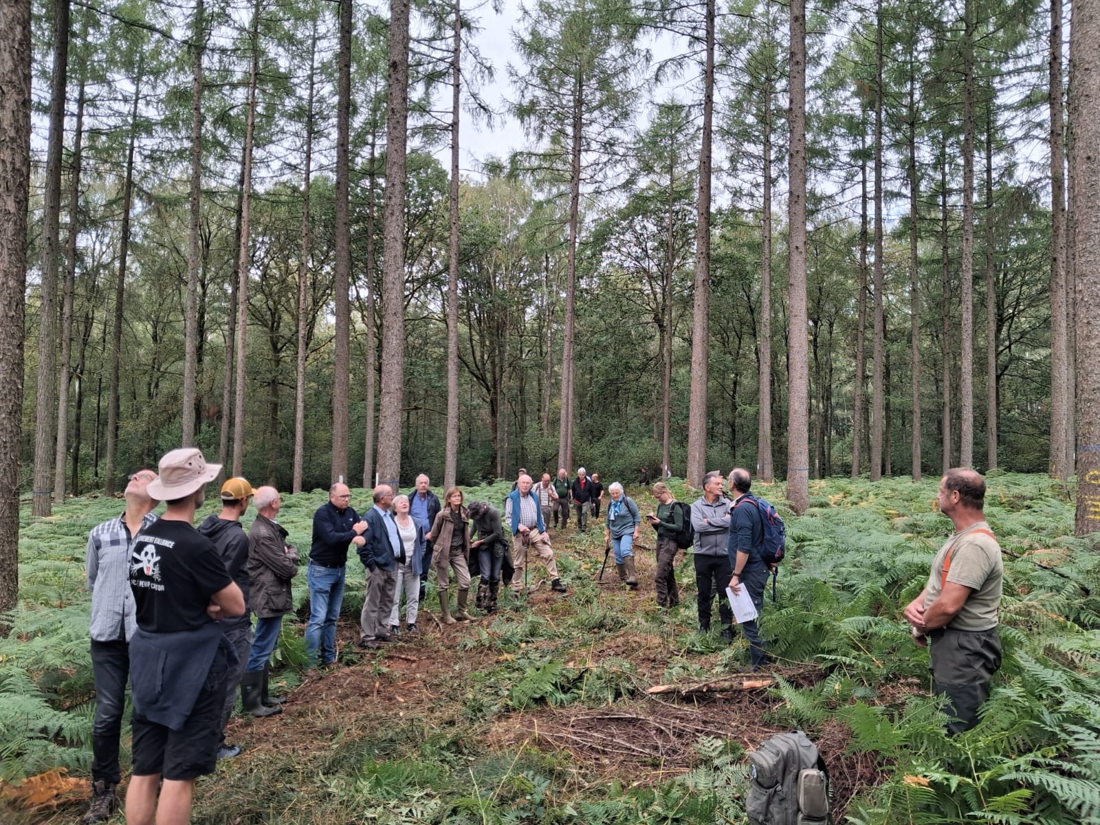 Journée « sylviculture des mélèzes le 19/8 à Oignies en Thiérache